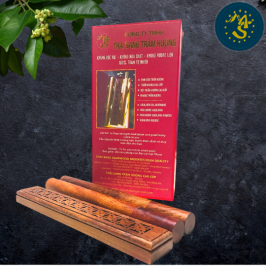 thiet-ke-chua-co-ten-5-9933.png